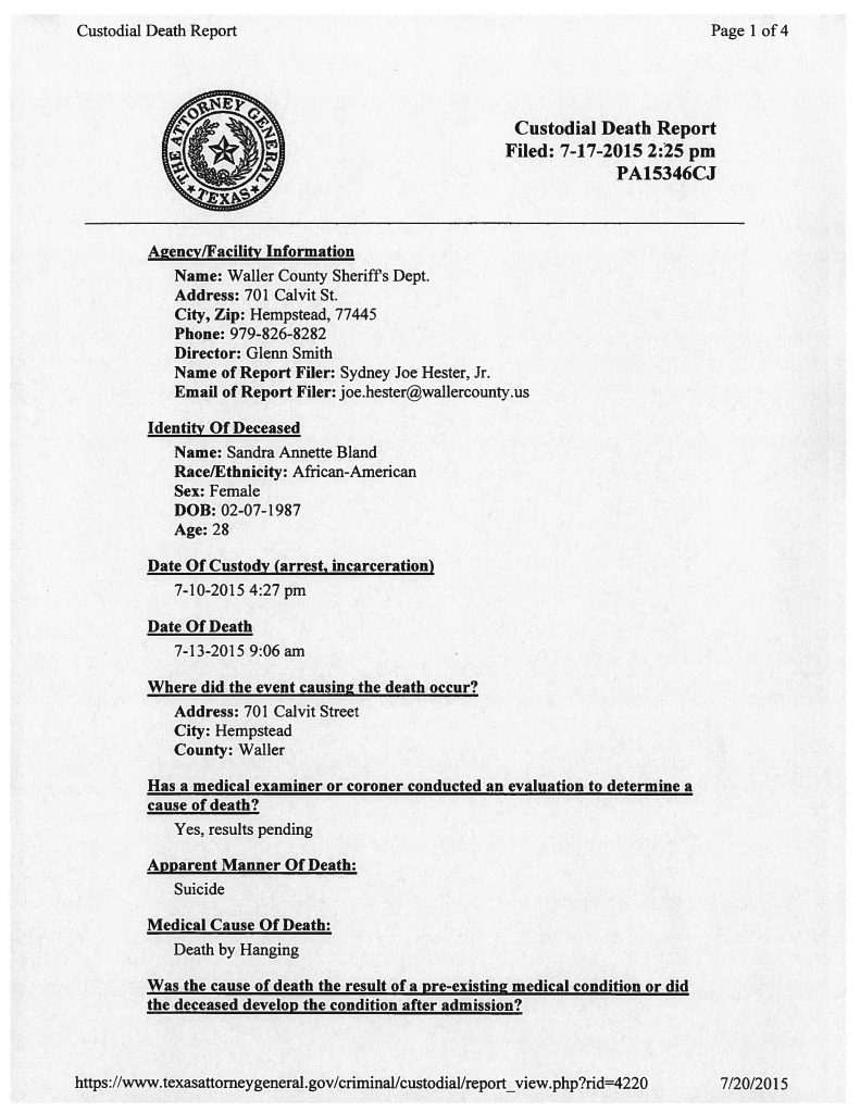 document preview