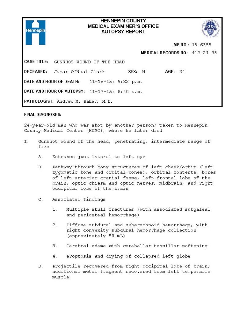 document preview