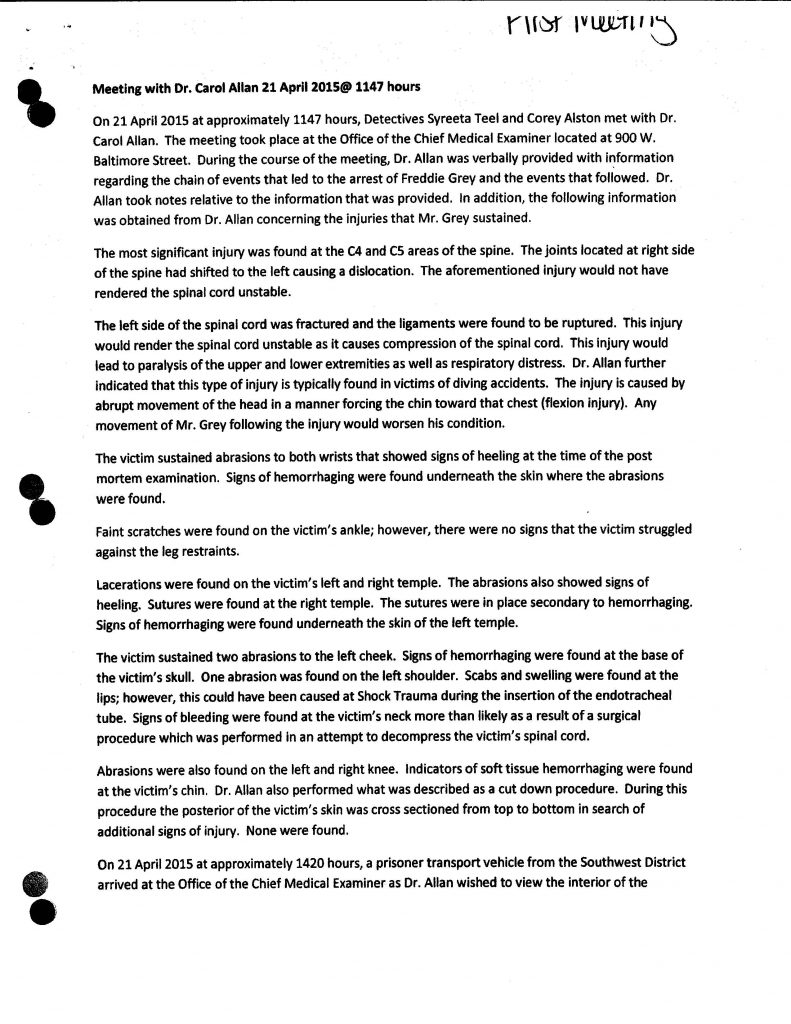 document preview