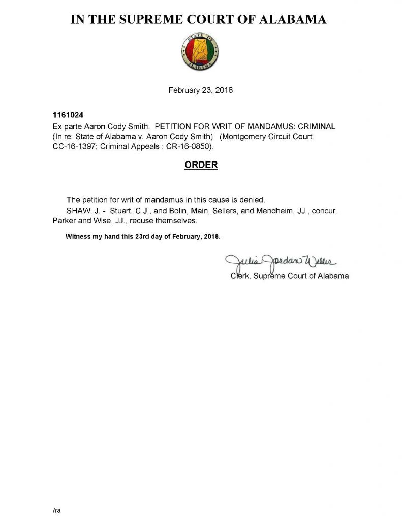 document preview