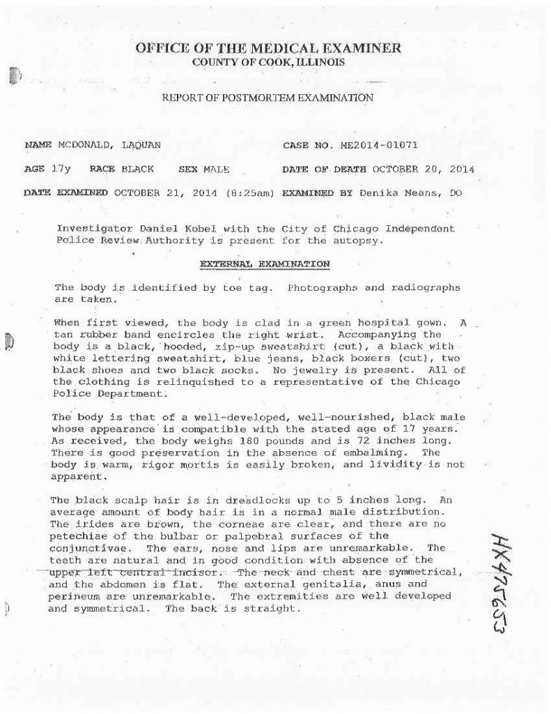 document preview