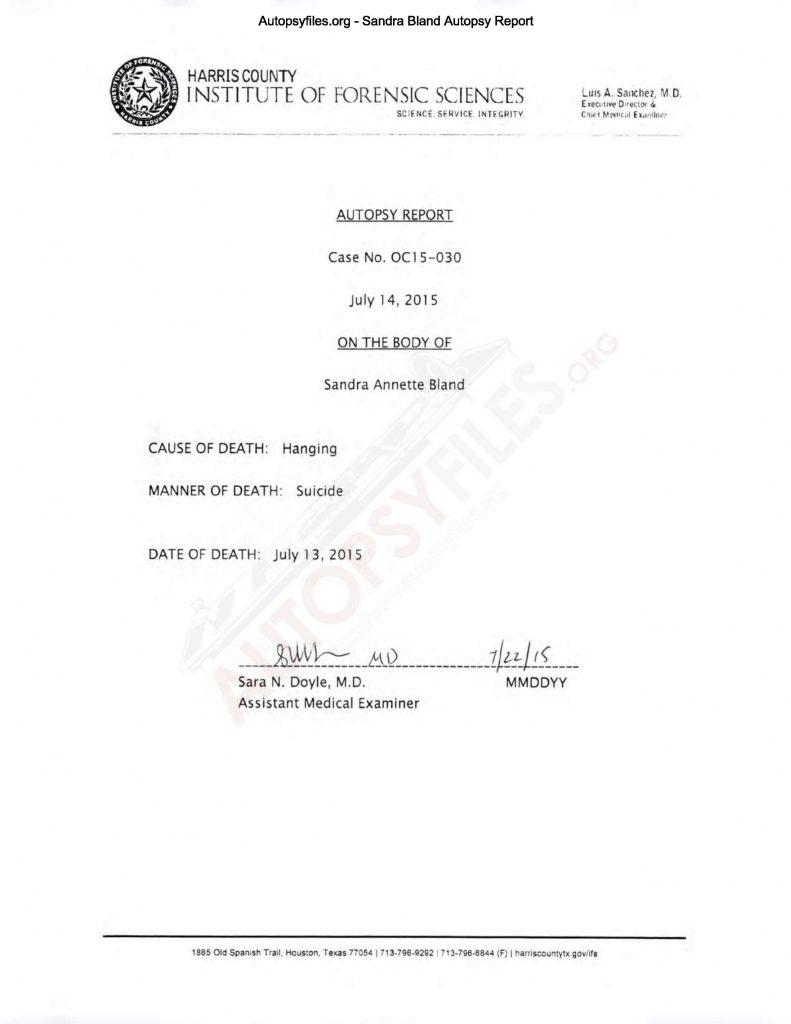 document preview